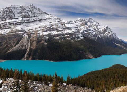 Banff Milli Parkında boz ayı hücumu – 2 ölü