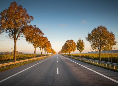 “Ödənişli yol vətəndaşlar üçün məcburiyyət yox, seçim imkanıdır”