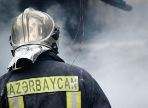 Bakı-Qazax yolunda maşın və ağaclar yandı