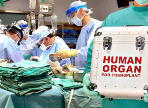 Orqan transplantasiyasının illik limiti açıqlandı – RƏSMİ