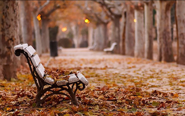 Sabahın havası açıqlandı Sabahın havası açıqlandı