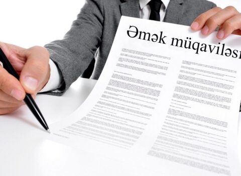 Azərbaycanda əmək müqavilələrinin sayı AÇIQLANDI