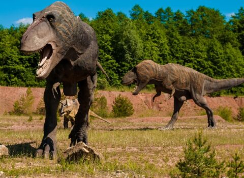 Alimlər dinozavrların kütləvi ölüm səbəbi ilə bağlı yeni versiyanı açıqlayıblar