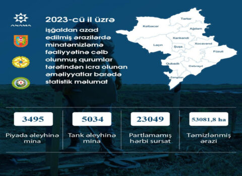 Bu il aşkarlanan minaların sayı açıqlandı