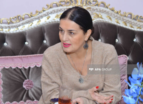 “Oğlum deyir mama, mənim xətrimə şeir yazma” – Elza Seyidcahanla MÜSAHİBƏ