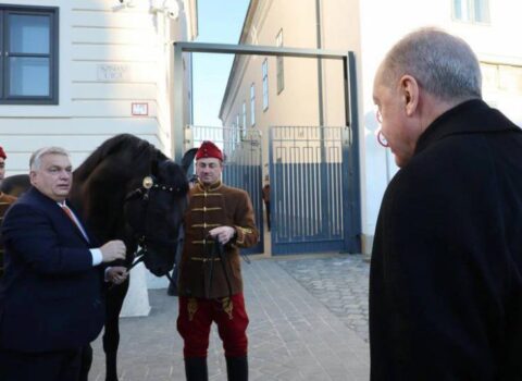 Orban Ərdoğana at hədiyyə etdi – FOTO