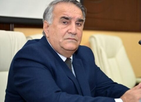 “Seçkilərdə İlham Əliyevi dəstəkləyəcəm” – Rəsulzadənin nəvəsi