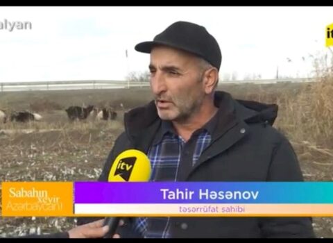 Təsərrüfat sahibi: “Heyvan bazarlarında 10 kiloluq keçi 120-130 manata satılır”