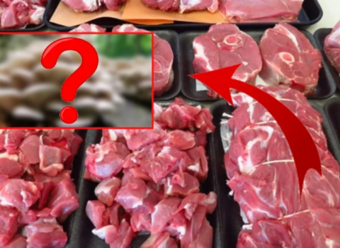 Tərkibində ətdən 10 dəfə çox protein var – Üstəlik, onun qiyməti çox ucuzdur