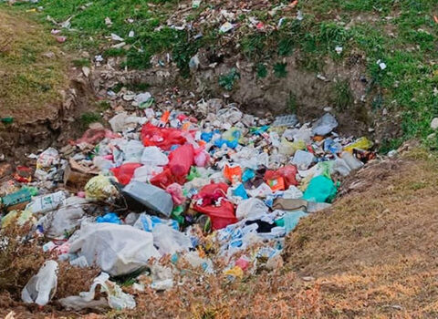 Şamaxıda bələdiyyə sədri məsuliyyətə cəlb olundu