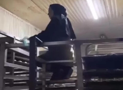 Şirniyyat zavodunun mətbəxində iyrənc mənzərə – FOTO