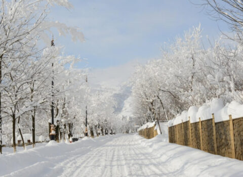 Yeni il tətilini rayonlarda keçirənlərin nəzərinə – Ehtiyatlı olun