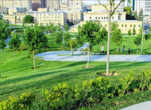 Bakıda adambaşına düşəcək yaşıllığın həcmi AÇIQLANDI
