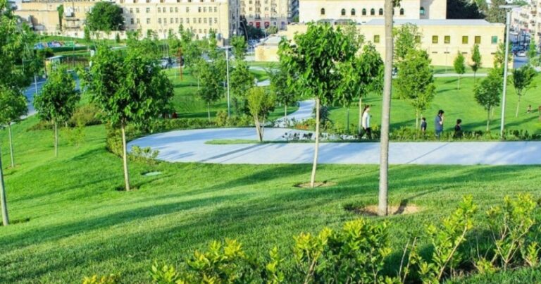Bakıda adambaşına düşəcək yaşıllığın həcmi AÇIQLANDI Bakıda adambaşına düşəcək yaşıllığın həcmi AÇIQLANDI