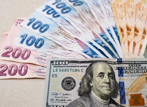 Türkiyədə dolların məzənnəsi ilk dəfə 30 TL-ni ötdü