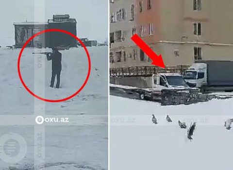 Qobuda itlər uşaqların gözü qarşısında güllələnir – VİDEO