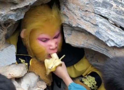 842 dollarlıq qeyri-adi iş – VİDEO