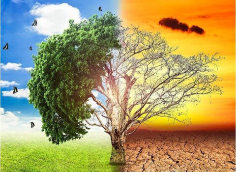 Hava ilə bağlı xəbərdarlıq – “Vaxt azalıb”