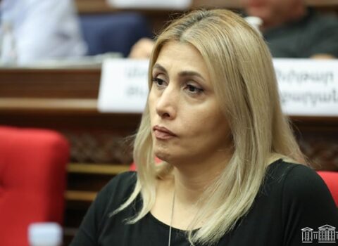 Ermənilərsiz Ermənistan kimə lazımdır? – Elinar Vardanyan