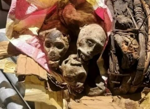 Çamadanında mumiyalanmış meymunlar tapıldı – ABŞ-də qorxunc hadisə