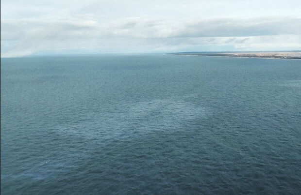Yüzlərlə litr neft Baltik dənizinə töküldü – FOTO