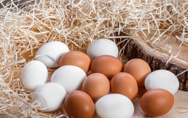 Azərbaycanla Türkiyə Rusiyaya 13,3 milyon yumurta göndərib