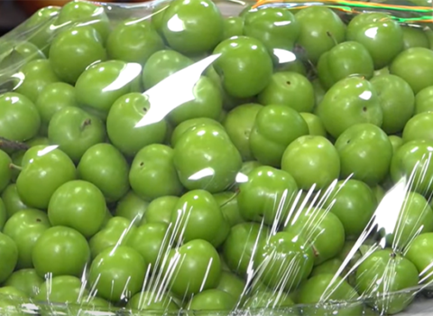 Bakı bazarında min manata alça satılır – VİDEO