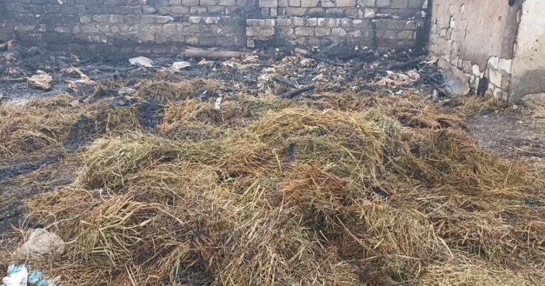 Azərbaycanda ferma yandırıldı, 230 baş heyvan tələf olub – FOTO Azərbaycanda ferma yandırıldı, 230 baş heyvan tələf olub – FOTO