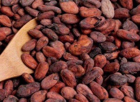 Kakaonun qiyməti rekord vurdu