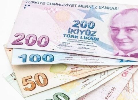 Türkiyənin xalis valyuta ehtiyatları görünməmiş həddə azalıb