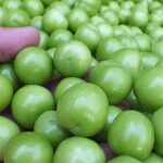 50 yaşlı kişi alçaya görə öldü