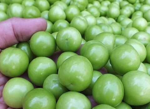 50 yaşlı kişi alçaya görə öldü