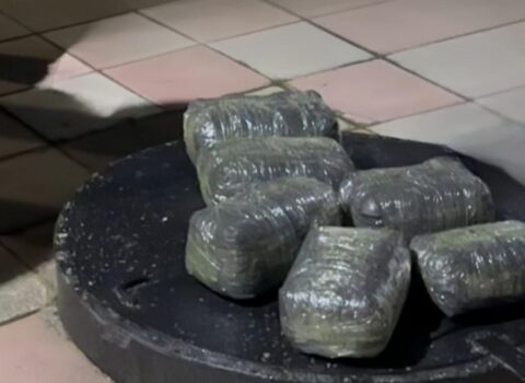 Azərbaycanda ötən gün 23 kiloqrama yaxın narkotik aşkarlandı