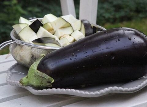 Tərkibində nikotin var imiş – Badımcanın faydaları – MARAQLI FAKTLAR