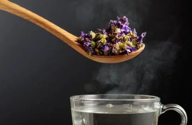 Bir dəfəyə öskürəyi kəsə bilən çiçək Bir dəfəyə öskürəyi kəsə bilən çiçək