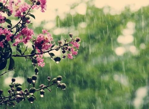 Havanın temperaturu 5-8° aşağı enəcək – XƏBƏRDARLIQ