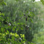 Qış geri qayıdır: Hava birdən-birə 10 dərəcə soyuyacaq – XƏBƏRDARLIQ