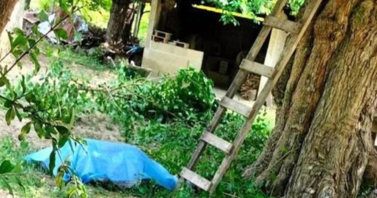 10 gün əvvəl ağacdan yıxılan kişi öldü 10 gün əvvəl ağacdan yıxılan kişi öldü