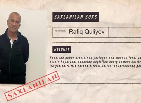 Naxçıvanda narkotik tərkibli bitkilərin kultivasiyası ilə məşğul olan şəxs saxlanılıb