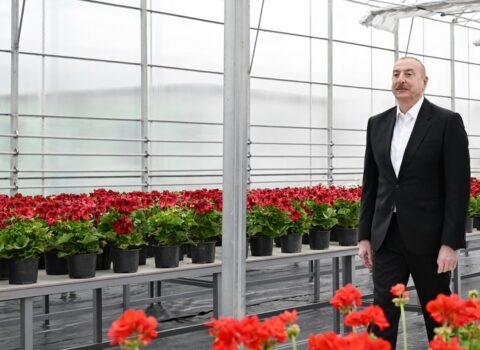 İlham Əliyev Gəncədə Ekoloji Park Kompleksinin tikintisi ilə tanış olub