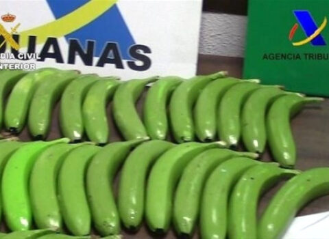 Yaşıl bananın inanılmaz FAYDALARI