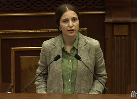 “Bu, kapitulyasiyadır” – Anna Qriqoryan
