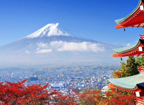 Maraqlı araşdırma: Hər kəsin soyadı eyni olacaq