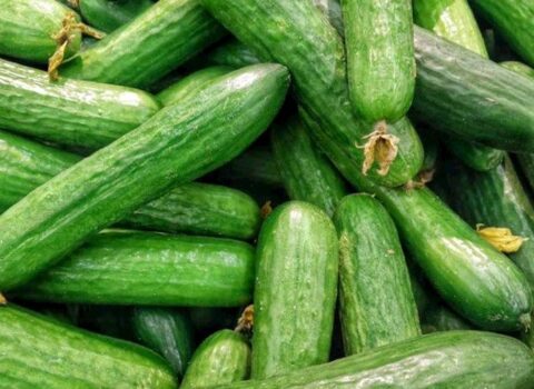 İrandan 94 qəpiyə alınan xiyar marketlərdə 2,9 manata satılıb – RƏSMİ