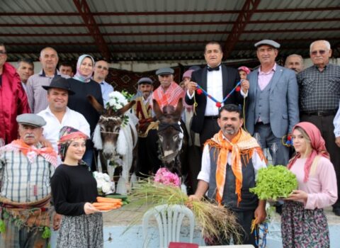 Türkiyədə eşşəklərə toy edildi – VİDEO