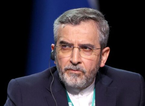“Onların siyasi xətti davam etdiriləcək” – Bagiri