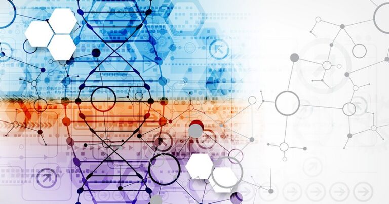 İmmunitet hüceyrələrinin qocalmasını sürətləndirən infeksiya aşkar edildi İmmunitet hüceyrələrinin qocalmasını sürətləndirən infeksiya aşkar edildi