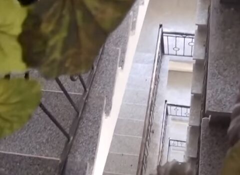 Özünü asan qız son anda xilas edildi