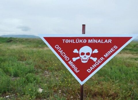 Goranboyda heyvanlar minaya düşdü