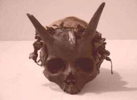 Bu varlığın kimliyi hələ də müəyyən edilməyib – MARAQLI